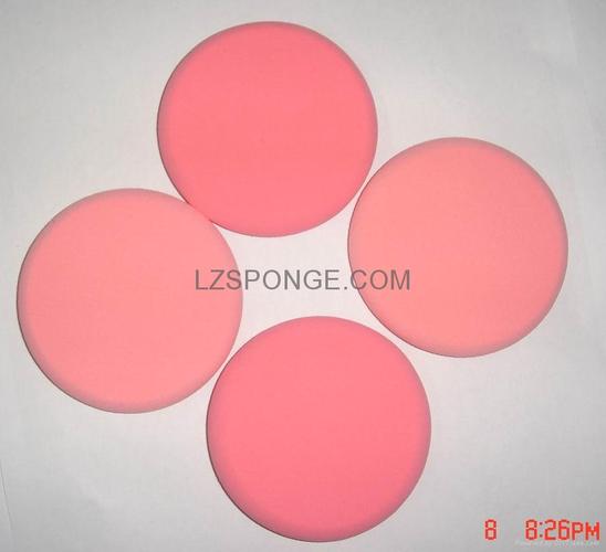 lzsponge (中国 浙江省 生产商)